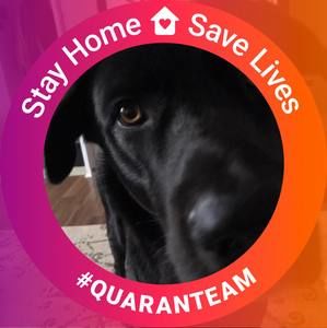 Meet your Posher, Pattie